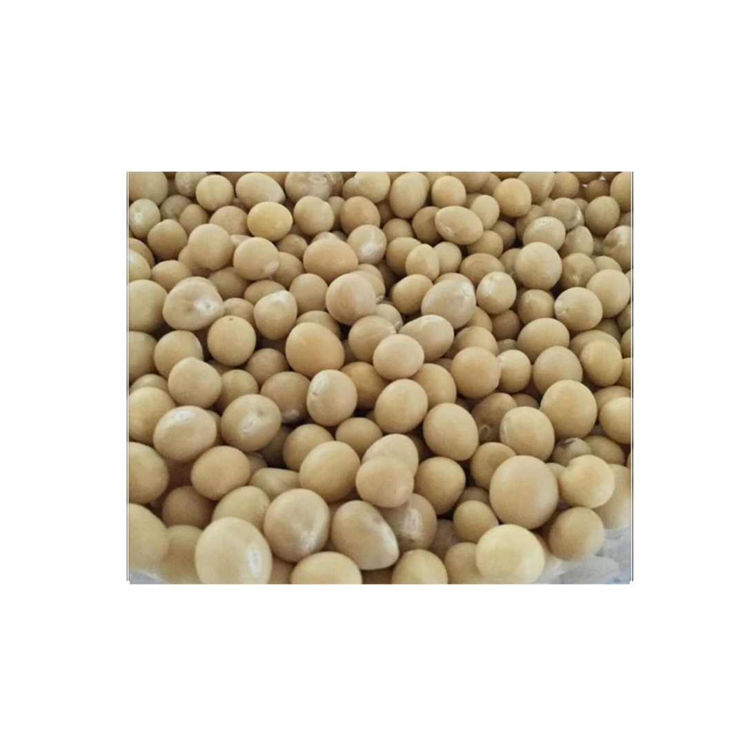 Bambara Beans